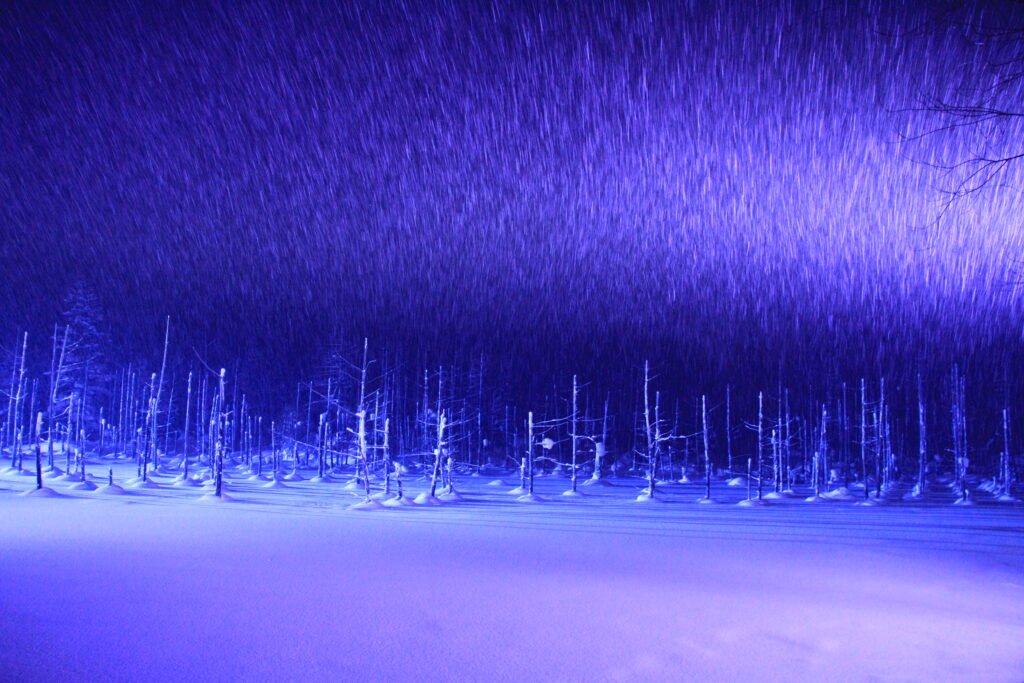 🏞️ 청의 호수(시로가네 아오이이케) 이미지 9